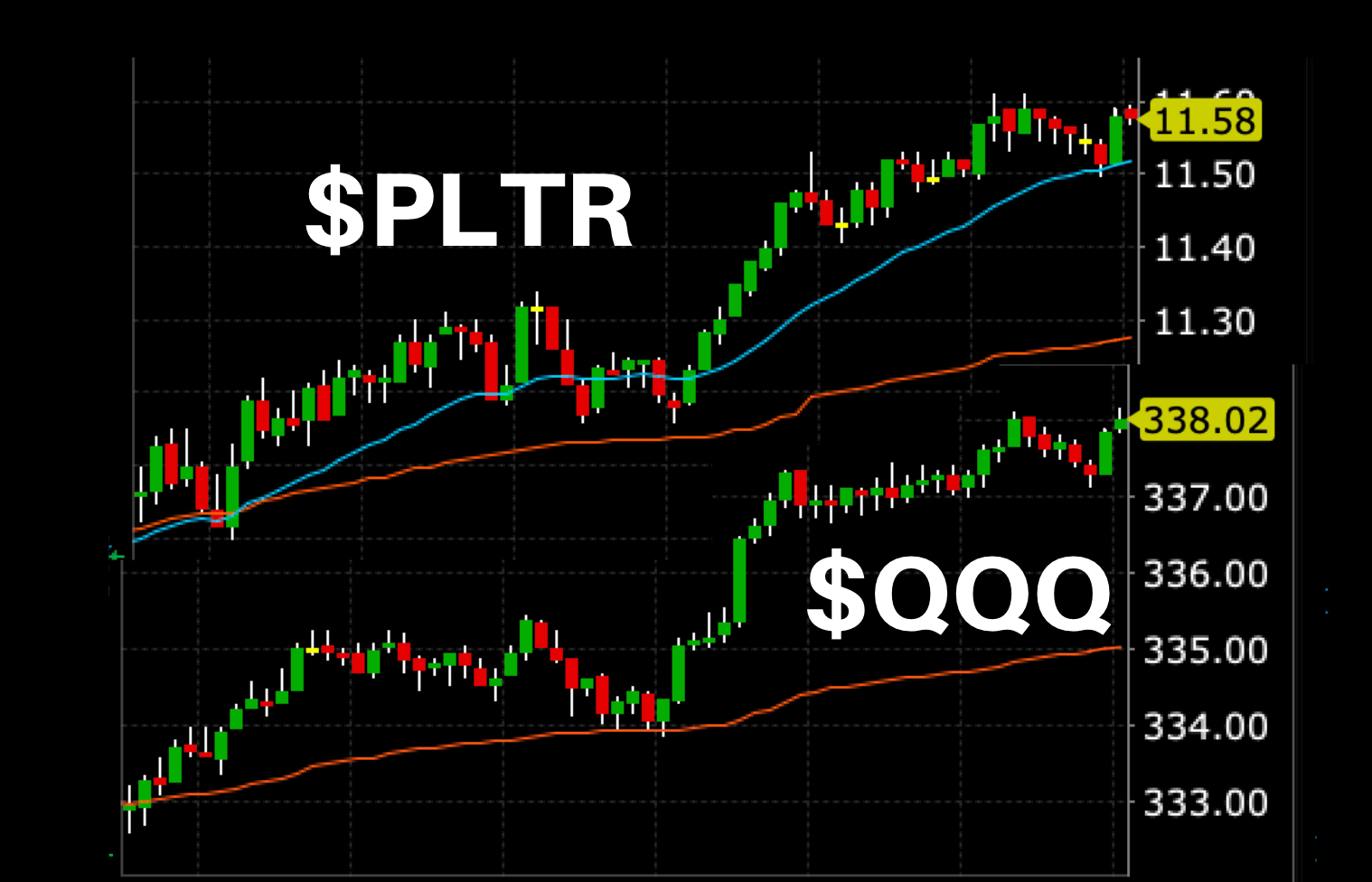 Pltr stock